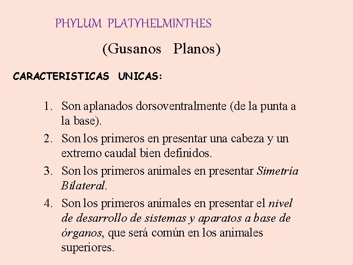 PHYLUM PLATYHELMINTHES (Gusanos Planos) CARACTERISTICAS UNICAS: 1. Son aplanados dorsoventralmente (de la punta a