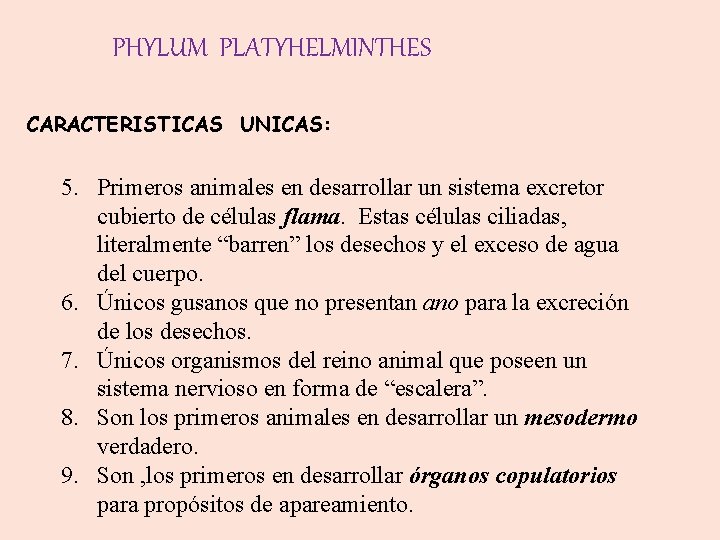 PHYLUM PLATYHELMINTHES CARACTERISTICAS UNICAS: 5. Primeros animales en desarrollar un sistema excretor cubierto de