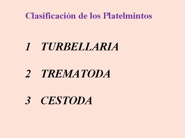 Clasificación de los Platelmintos 1 TURBELLARIA 2 TREMATODA 3 CESTODA 