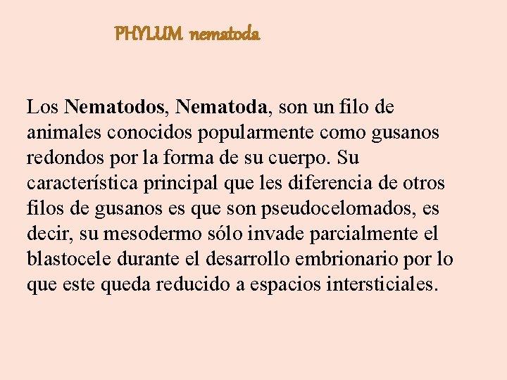 PHYLUM nematoda Los Nematodos, Nematoda, son un filo de animales conocidos popularmente como gusanos