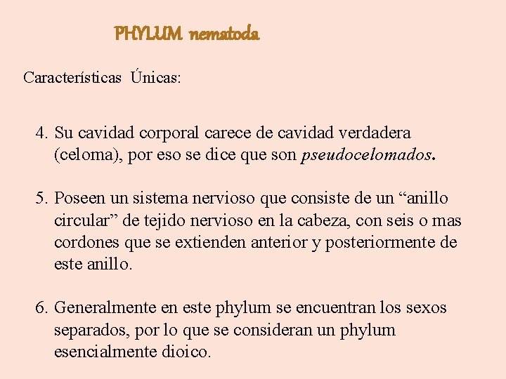 PHYLUM nematoda Características Únicas: 4. Su cavidad corporal carece de cavidad verdadera (celoma), por