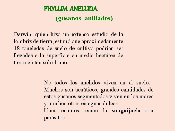 PHYLUM ANELLIDA (gusanos anillados) Darwin, quien hizo un extenso estudio de la lombriz de