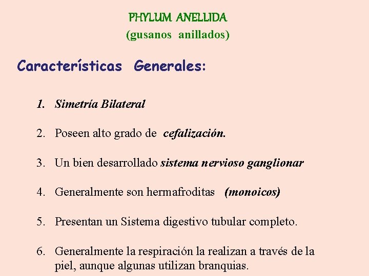 PHYLUM ANELLIDA (gusanos anillados) Características Generales: 1. Simetría Bilateral 2. Poseen alto grado de