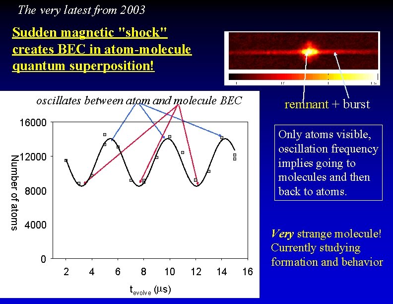 The very latest from 2003 Sudden magnetic "shock" creates BEC in atom-molecule quantum superposition!
