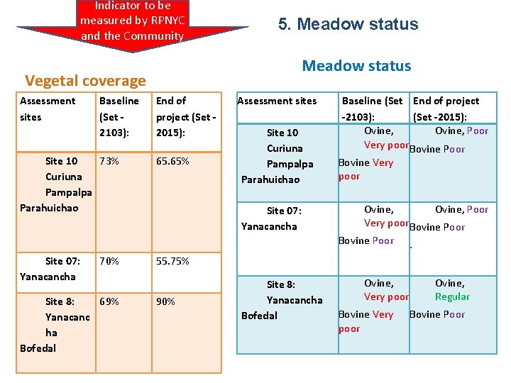 Indicator to be measured by RPNYC and the Community 5. Meadow status Vegetal coverage