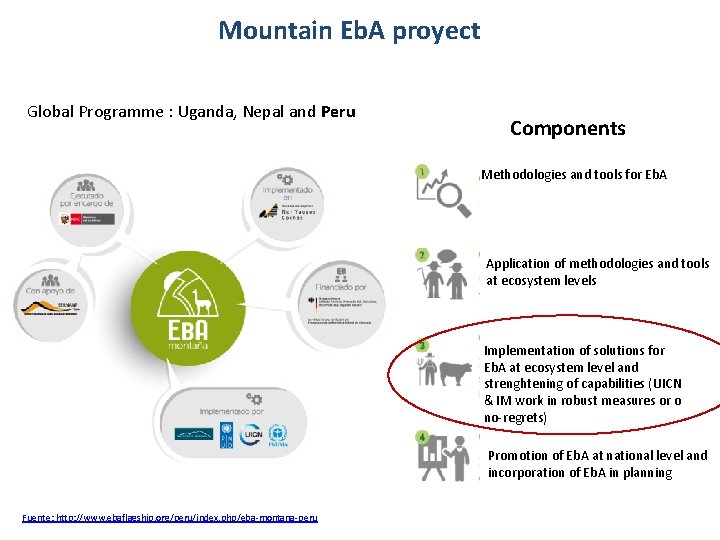 Mountain Eb. A proyect Global Programme : Uganda, Nepal and Peru Components Methodologies and