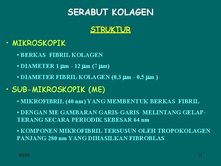 SERABUT KOLAGEN STRUKTUR • MIKROSKOPIK • BERKAS FIBRIL KOLAGEN • DIAMETER 1 m -