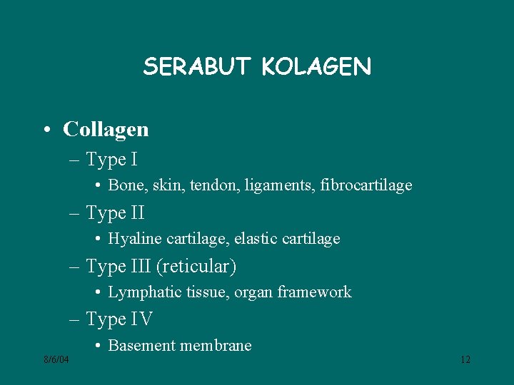 SERABUT KOLAGEN • Collagen – Type I • Bone, skin, tendon, ligaments, fibrocartilage –