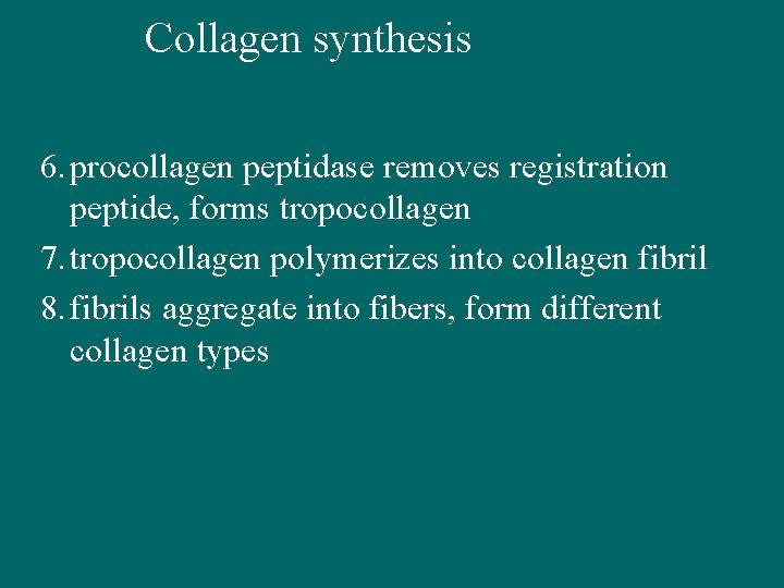 Collagen synthesis 6. procollagen peptidase removes registration peptide, forms tropocollagen 7. tropocollagen polymerizes into