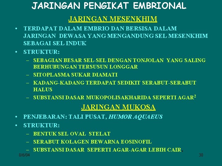 JARINGAN PENGIKAT EMBRIONAL JARINGAN MESENKHIM • TERDAPAT DALAM EMBRIO DAN BERSISA DALAM JARINGAN DEWASA