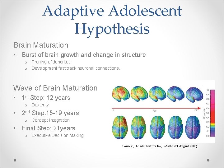 Adaptive Adolescent Hypothesis Brain Maturation • Burst of brain growth and change in structure