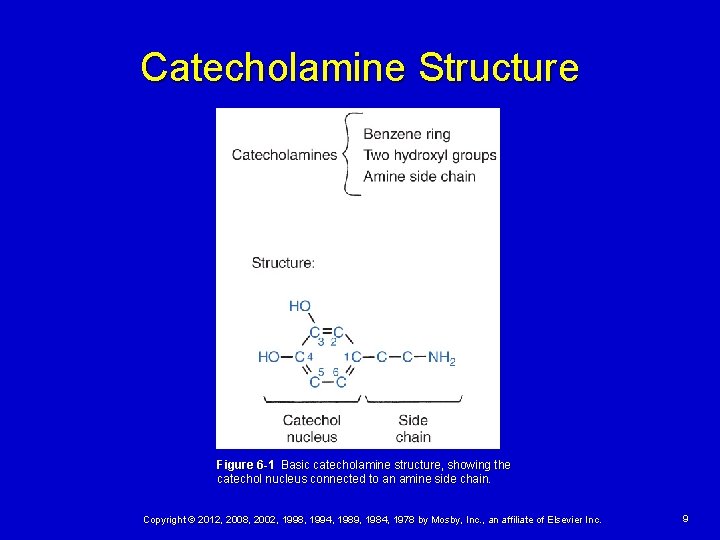 Catecholamine Structure Figure 6 -1 Basic catecholamine structure, showing the catechol nucleus connected to
