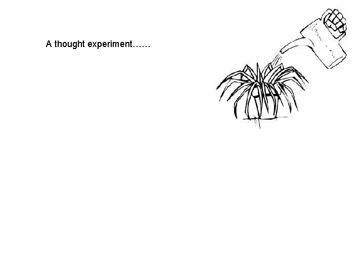 A thought experiment…… 