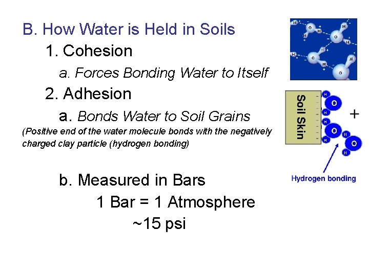 B. How Water is Held in Soils 1. Cohesion a. Forces Bonding Water to