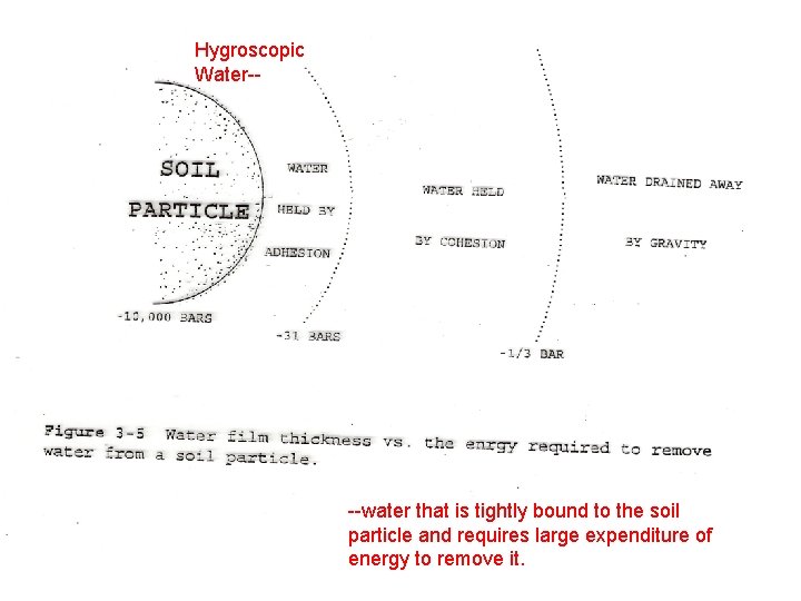 Hygroscopic Water-- --water that is tightly bound to the soil particle and requires large