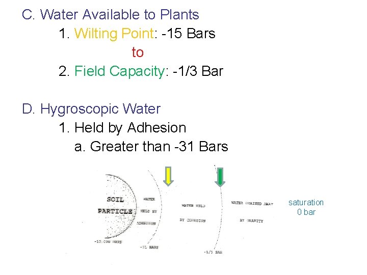 C. Water Available to Plants 1. Wilting Point: -15 Bars to 2. Field Capacity:
