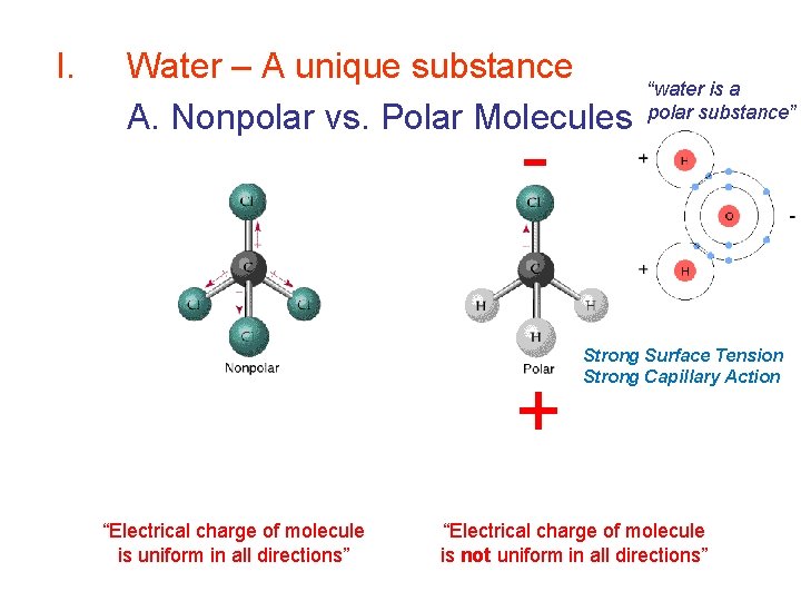 I. Water – A unique substance A. Nonpolar vs. Polar Molecules - + “Electrical