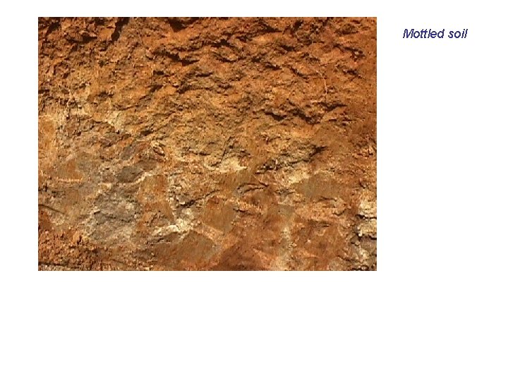 Mottled soil 