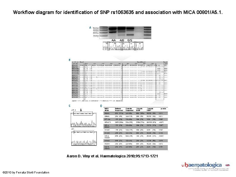 Workflow diagram for identification of SNP rs 1063635 and association with MICA 00801/A 5.