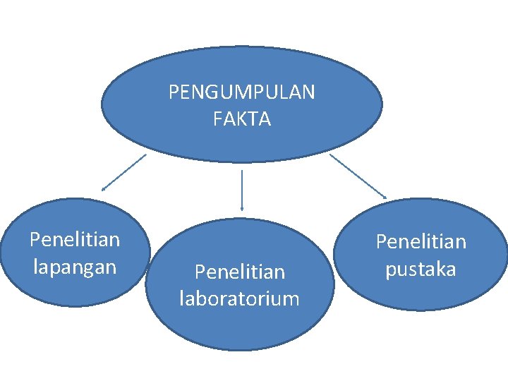 PENGUMPULAN FAKTA Penelitian lapangan Penelitian laboratorium Penelitian pustaka 