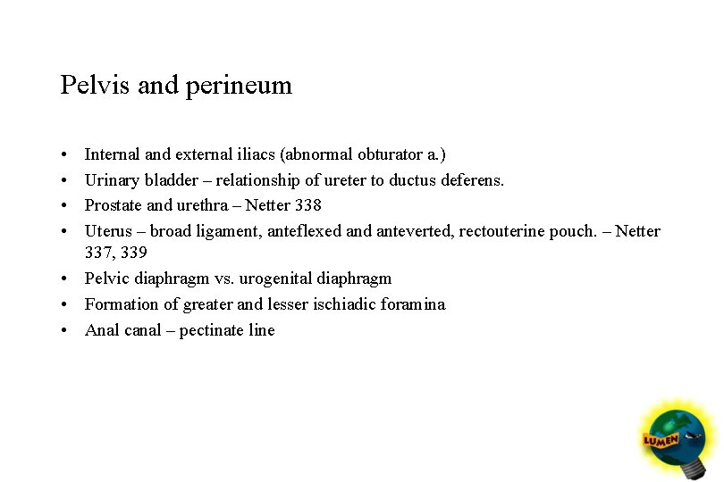 Pelvis and perineum • • Internal and external iliacs (abnormal obturator a. ) Urinary
