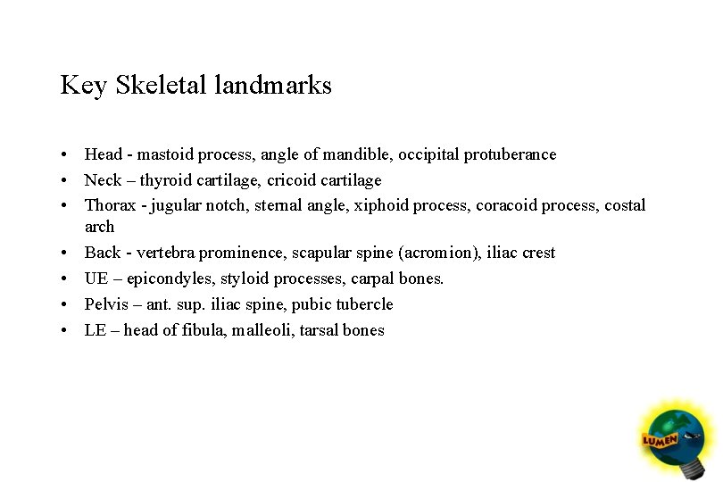 Key Skeletal landmarks • Head - mastoid process, angle of mandible, occipital protuberance •