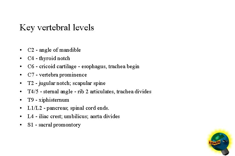 Key vertebral levels • • • C 2 - angle of mandible C 4