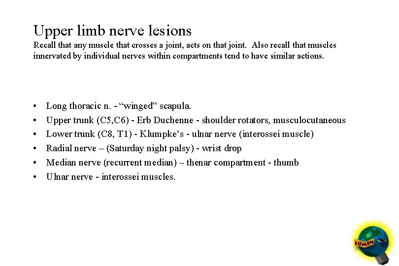 Upper limb nerve lesions Recall that any muscle that crosses a joint, acts on