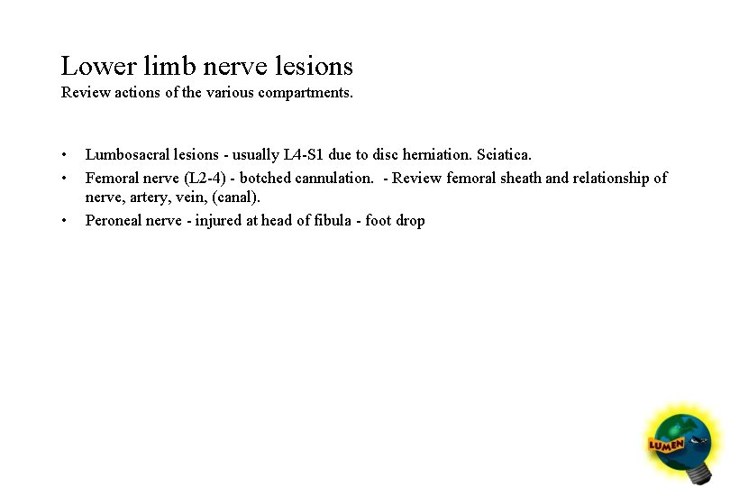 Lower limb nerve lesions Review actions of the various compartments. • • • Lumbosacral