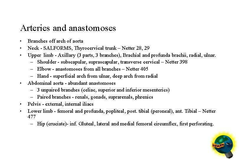 Arteries and anastomoses • • • Branches off arch of aorta Neck - SALFORMS,