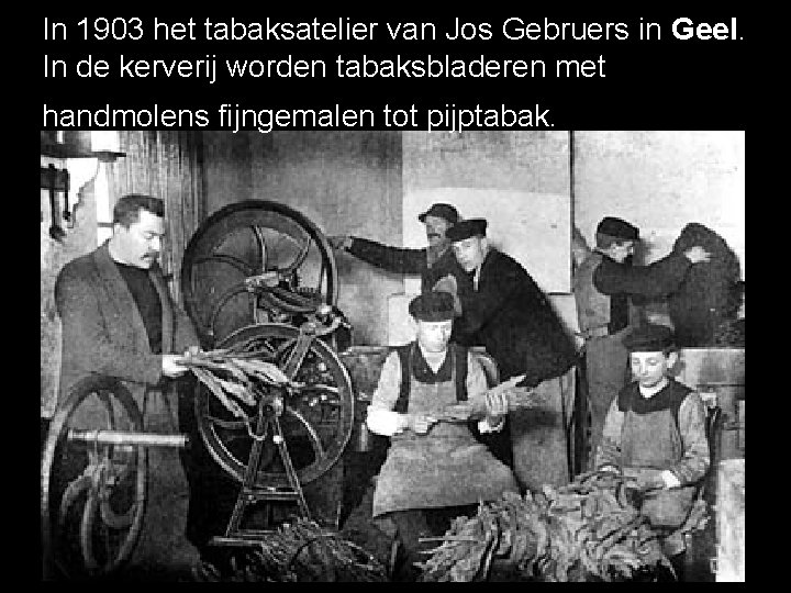 In 1903 het tabaksatelier van Jos Gebruers in Geel. In de kerverij worden tabaksbladeren