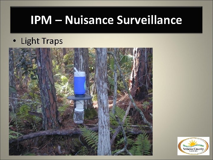 IPM – Nuisance Surveillance • Light Traps 