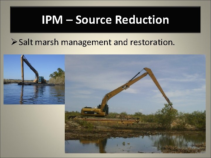 IPM – Source Reduction Ø Salt marsh management and restoration. 