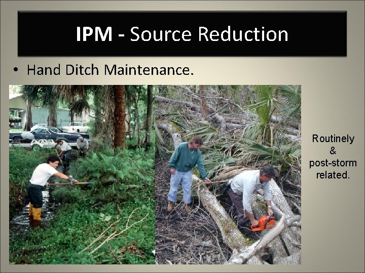 IPM - Source Reduction • Hand Ditch Maintenance. Routinely & post-storm related. 