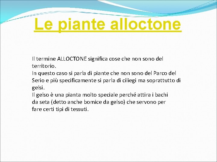 Le piante alloctone Il termine ALLOCTONE significa cose che non sono del territorio. In