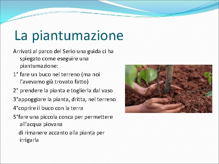 La piantumazione Arrivati al parco del Serio una guida ci ha spiegato come eseguire