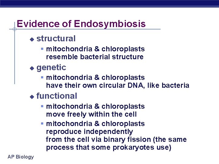 Evidence of Endosymbiosis u structural § mitochondria & chloroplasts resemble bacterial structure u genetic
