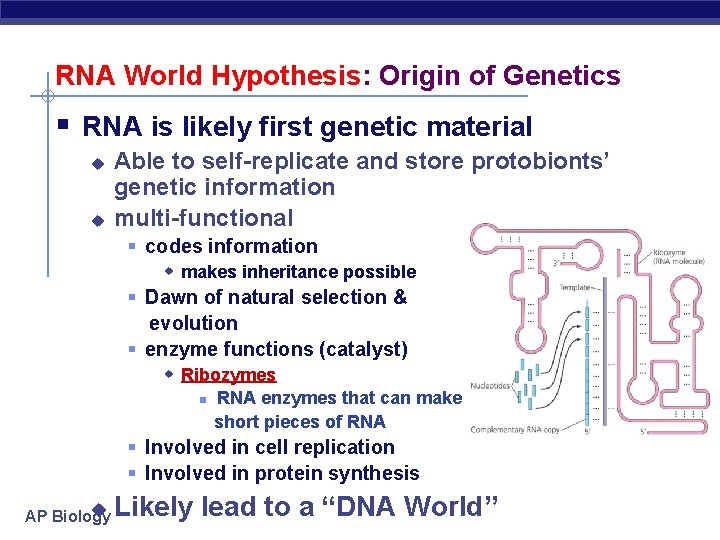 RNA World Hypothesis: Origin of Genetics § RNA is likely first genetic material u
