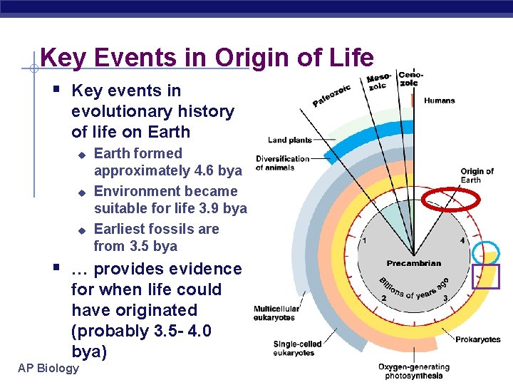 Key Events in Origin of Life § Key events in evolutionary history of life