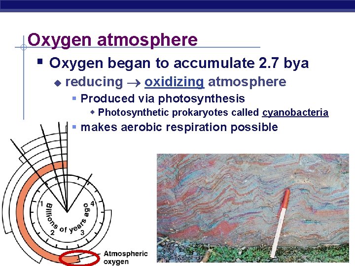 Oxygen atmosphere § Oxygen began to accumulate 2. 7 bya u reducing oxidizing atmosphere