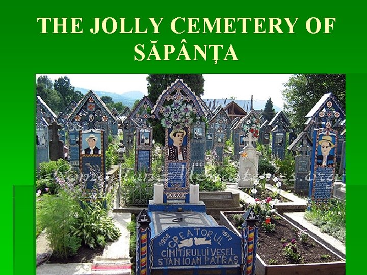 THE JOLLY CEMETERY OF SĂP NŢA 