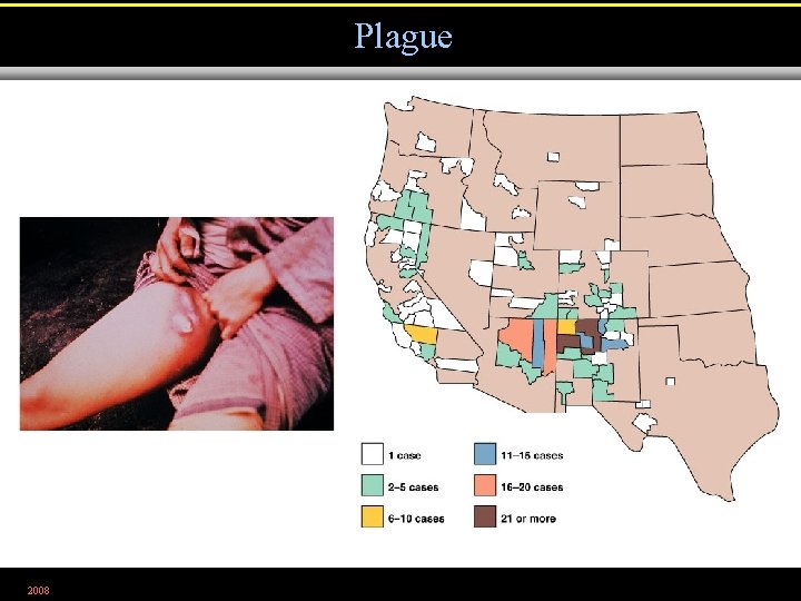 Plague 2008 Figure 23. 10, 11 