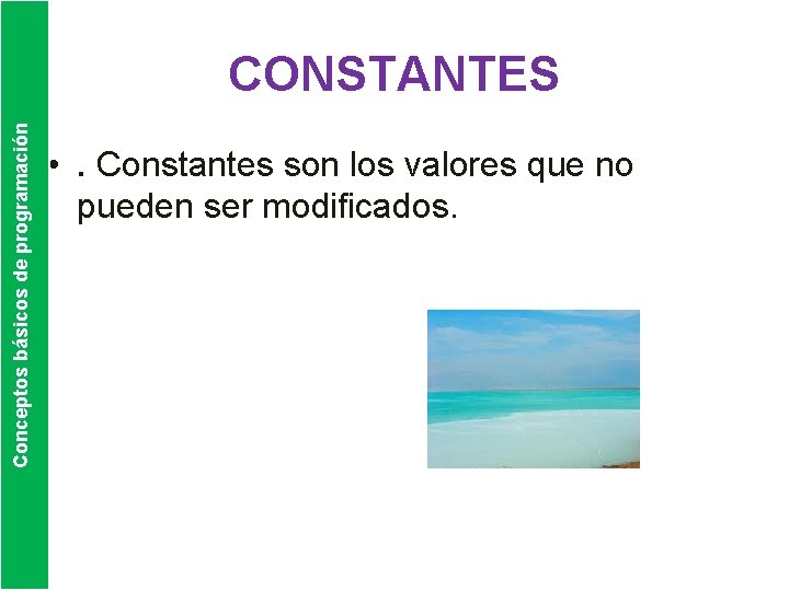 Conceptos básicos de programación CONSTANTES • . Constantes son los valores que no pueden