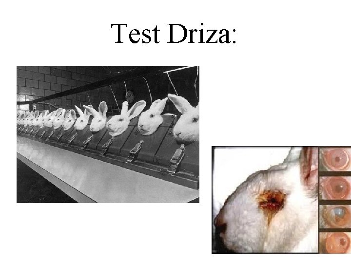 Test Driza: 