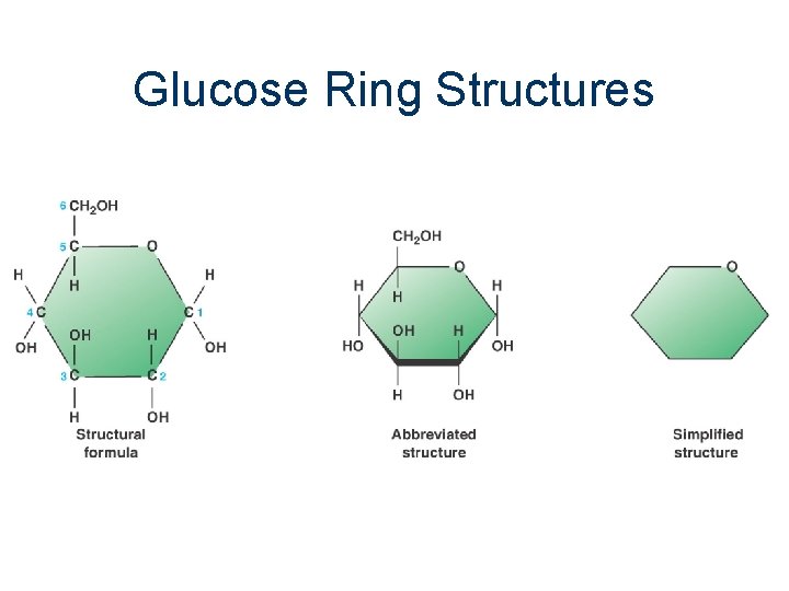 Glucose Ring Structures 