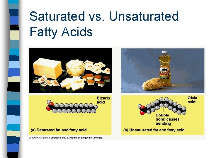 Saturated vs. Unsaturated Fatty Acids 