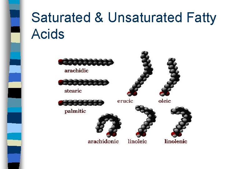 Saturated & Unsaturated Fatty Acids 