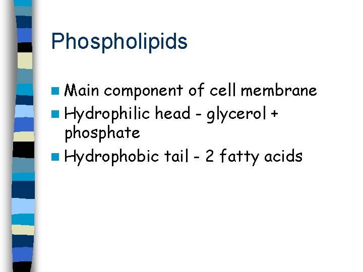 Phospholipids n Main component of cell membrane n Hydrophilic head - glycerol + phosphate