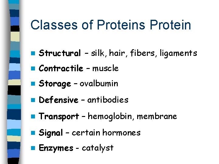 Classes of Proteins Protein n Structural – silk, hair, fibers, ligaments n Contractile –