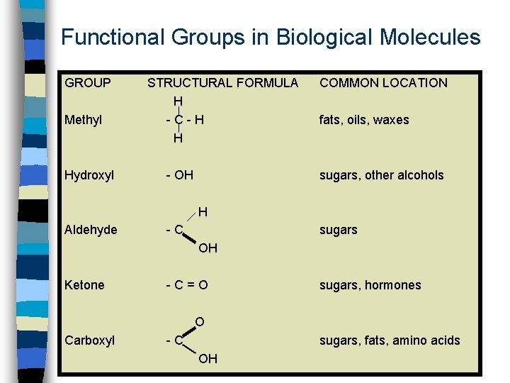 Functional Groups in Biological Molecules GROUP Methyl Hydroxyl STRUCTURAL FORMULA H -C-H H -